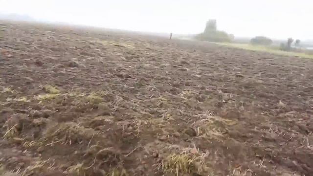 ОСЕННИЙ  КОП 2021ГОД ПО РАСПАШКЕ.