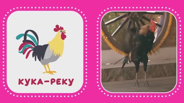 Учимся говорить  Запуск речи у детей. Звукоподражание. Логопедические карточки с животными. (1)