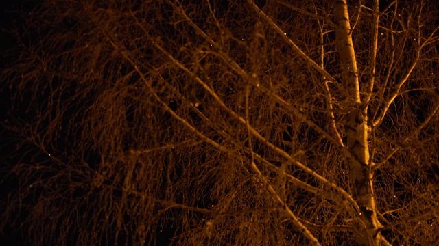 Необыкновенная зима