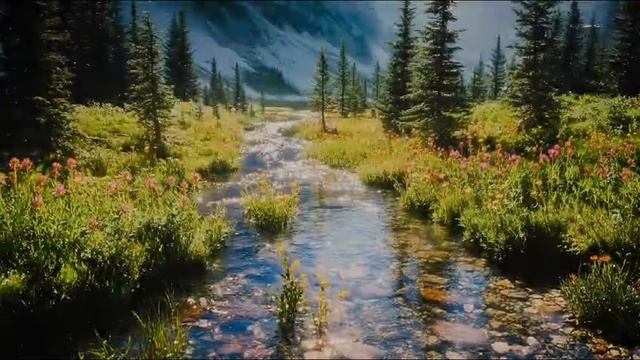 Сажайте деревья. Авторская песня Екатерины Пряничниковой.
