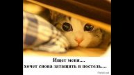 Сборник приколов на 28 02