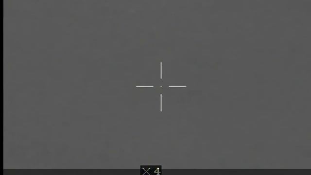 Thermal Hunting: 200 yard fox dropped with the .22 Hornet and WT1 75-3 rifle scope.