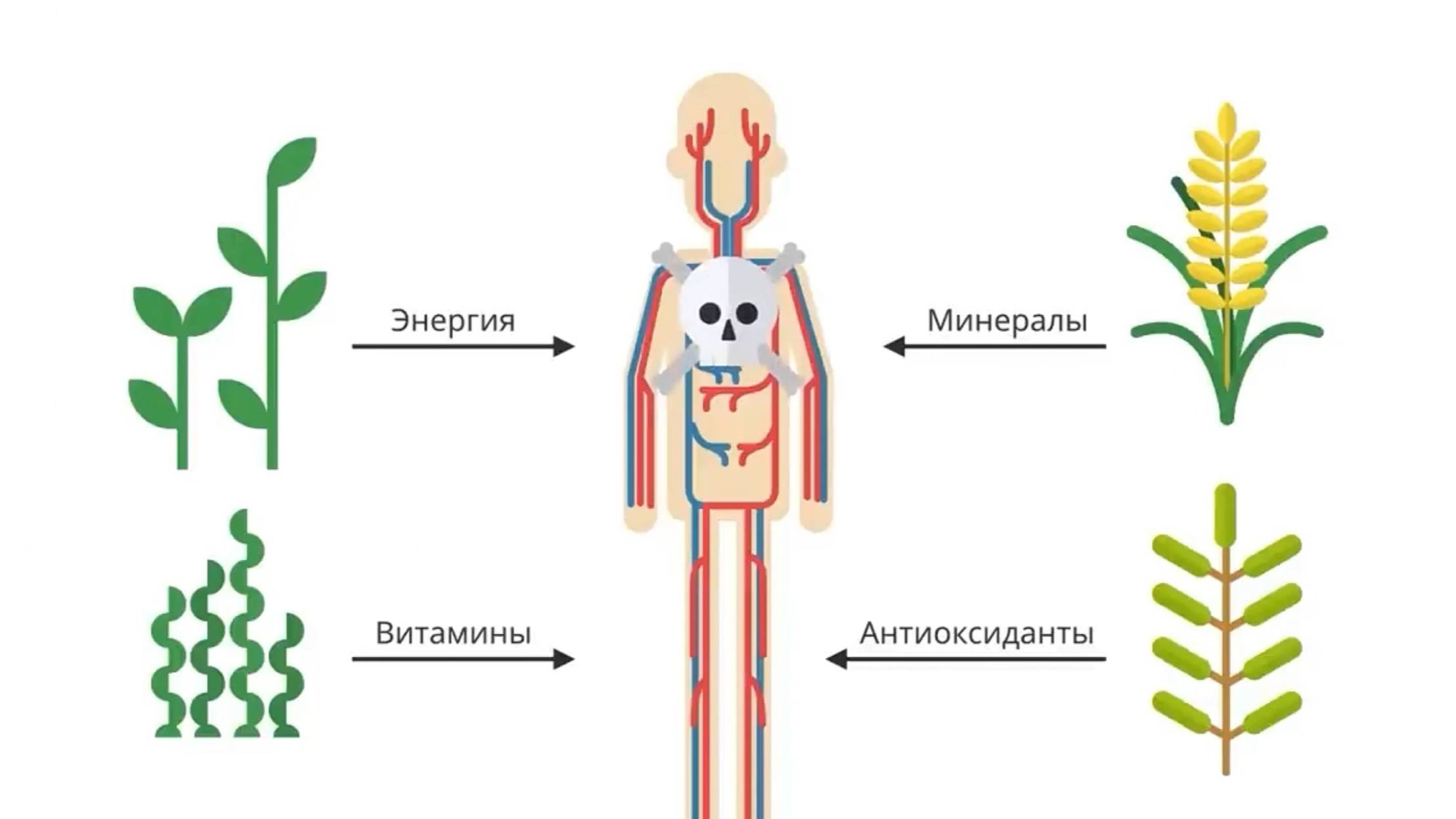 Bezlektinov. Растения против животных