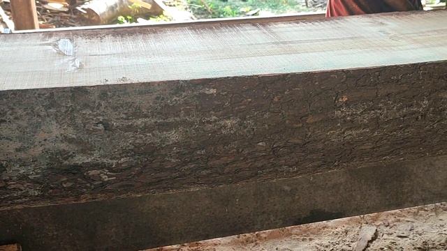 Terlihat kasar seperti kulit buaya kayu ini tajam dan menusuk