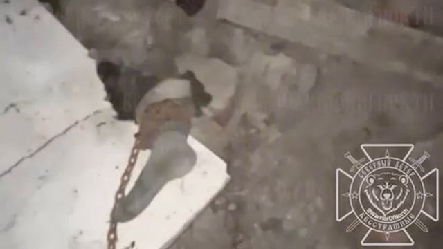 Командир ВСУ бросил своего бойца умирать .