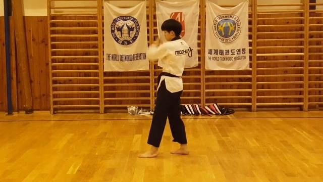 Taeguk Il 1 Jang (태극1장) - Back View