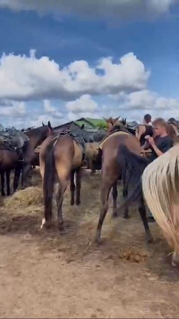 Когда исполнила МЕЧТУ детства 😰🐎 А какая у вас МЕЧТА? #Shorts