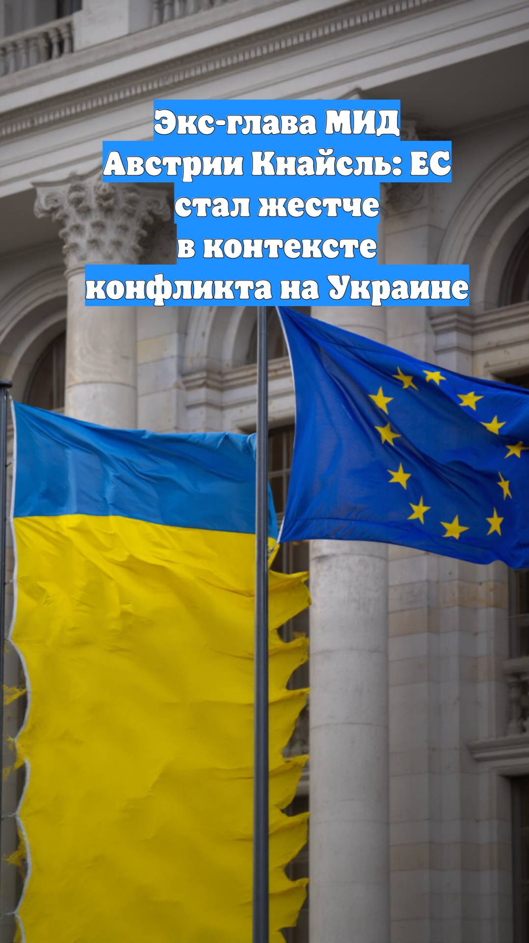 Экс-глава МИД Австрии Кнайсль: ЕС стал жестче в контексте конфликта на Украине