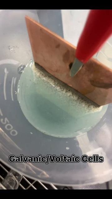Chemistry Experiment | Galvanic/Voltaic Cells   #Experiment  #Study