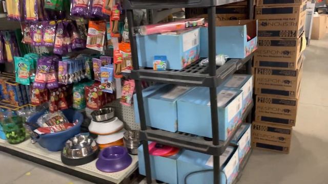 The Bargain Barn Treasure Hunt - Video #5