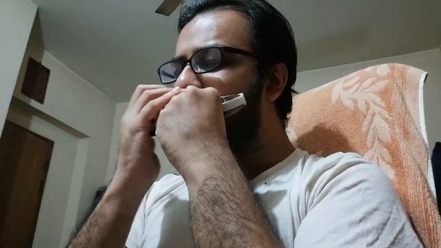 The Godfather Theme on Harmonica