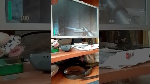 7 часть игра вольвештейн 2