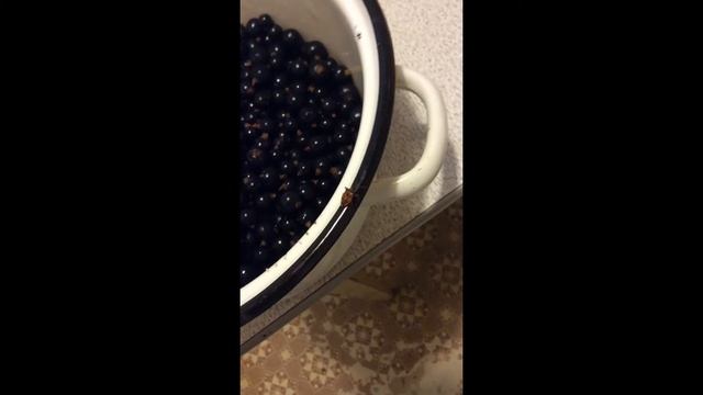 пять кругов в легкую!