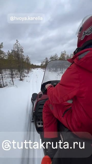 Снегоходы в Карелии