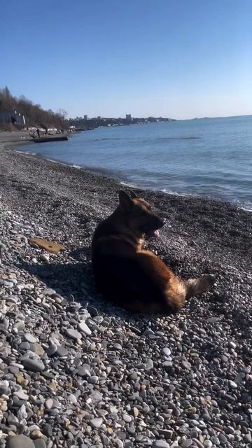 Выходной у нас в первой части дня …😍🫶🌊