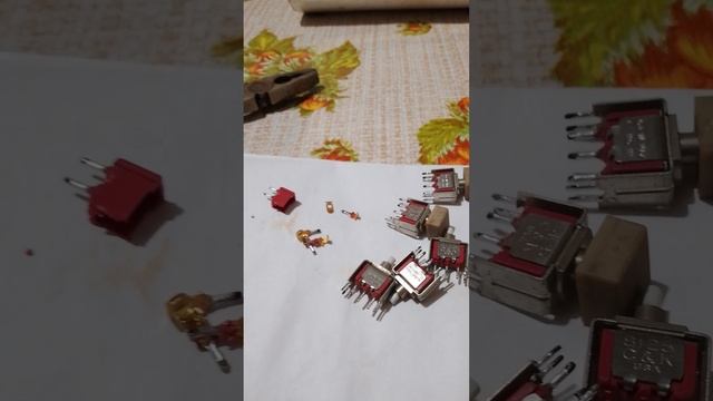 1000000858.mp4