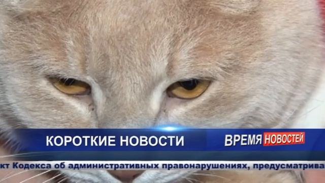 Новости 22 01 21 часть 2