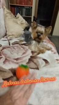 Любимка 😘😘😘