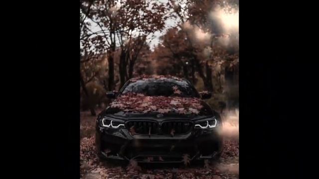 Любители Б.М.В