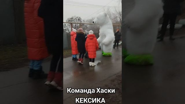 Команда Хаски КЕКСИКА
