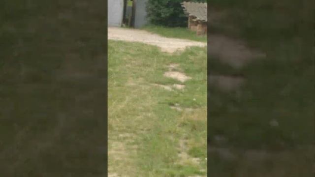 мы идём в подвал.