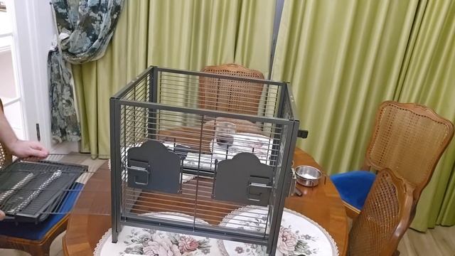 Коля Сытник- Клетка Для Лорикета ! Растет На Глазах! Назвали Лориком!