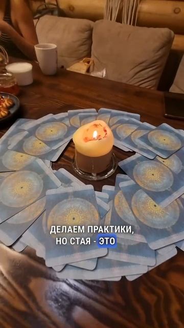 Встреча 19.01.mp4