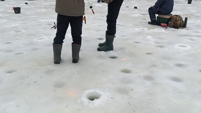 26 января Голицыно Fish
