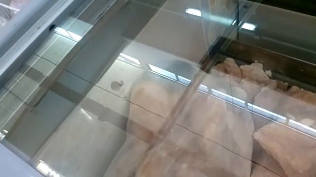 замерзающая мышка в гипермаркете "магнит"