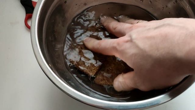 Выращивание микрозелень в домашних условиях.