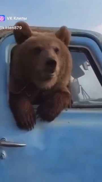 едит по делам