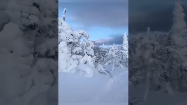 YouCut_20250126_134014491.mp4