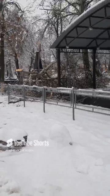 УЖАСНЫЕ ПОСЛЕДСТВИЯ ЛЕДЯНОГО ДОЖДЯ!!!Shorts