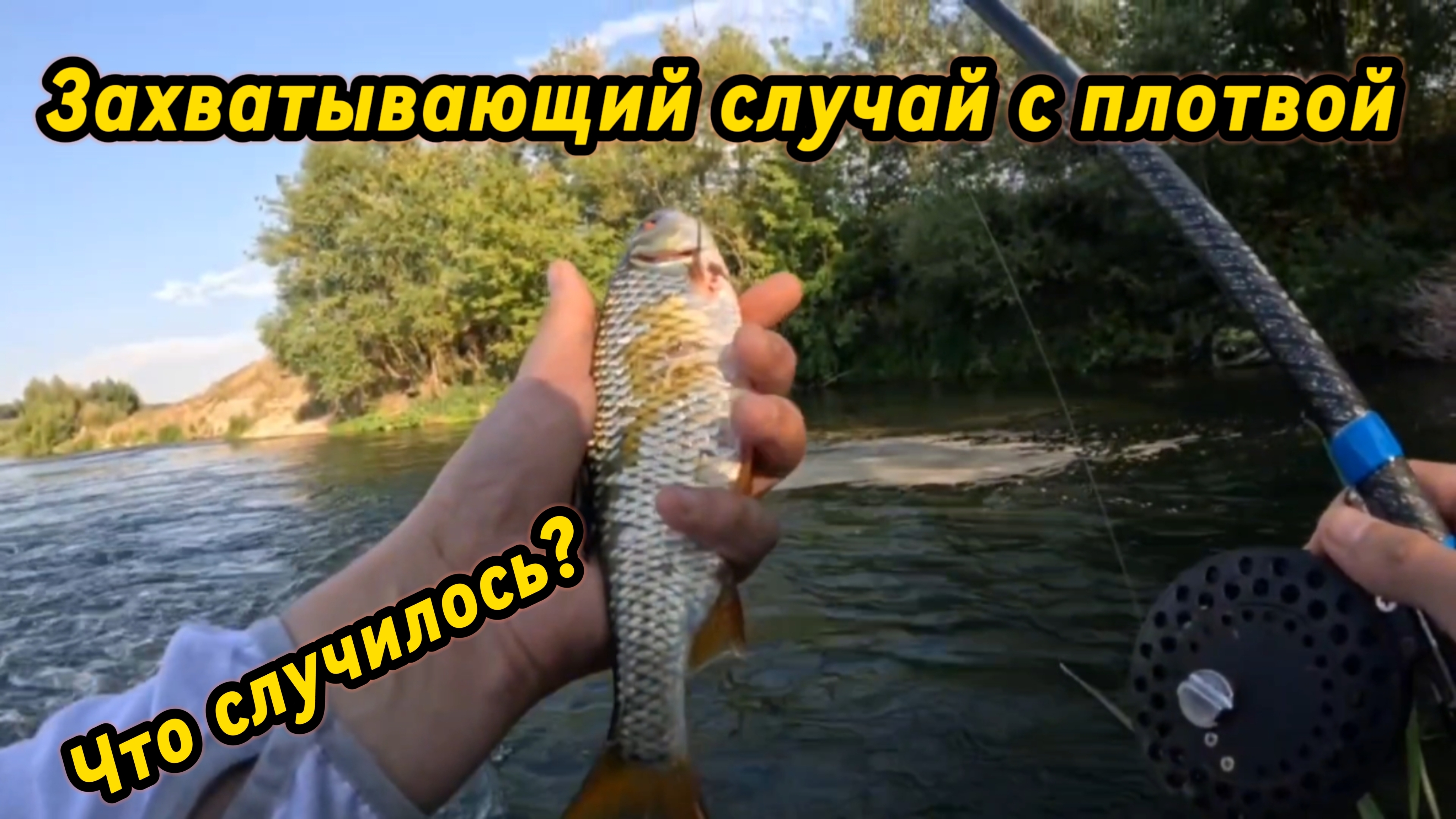 Ловим белую рыбу на траву. Реальная наживка для крупной плотвы (и не только) и неожиданная развязка