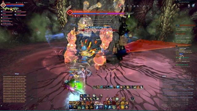 TERA DFNM LAST BOSS (BRAWLER DPS )