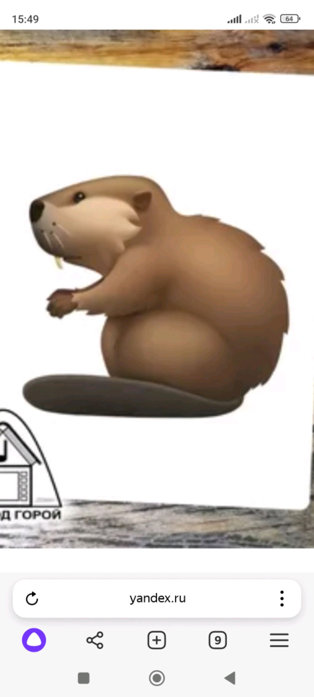 БОБР