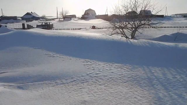 Зимне-весенние пейзажи на территории частного дома.