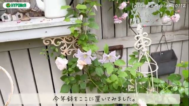 Garden_Tour_74.mp4