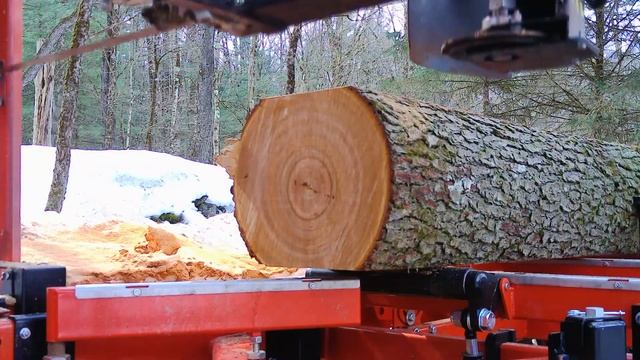Milling Cherry Butt Log and forgetting to lower the toe board # 21