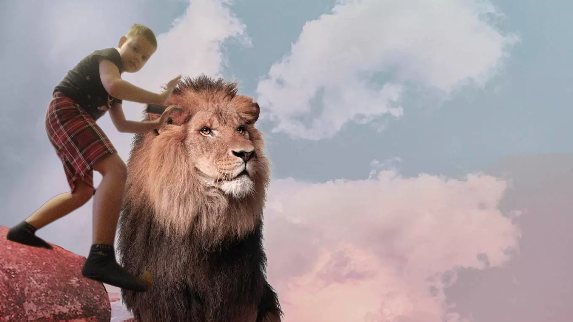 трансляция с телефонами