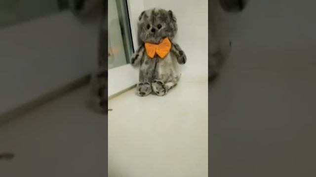 Физ культура на каникулах 1 серия