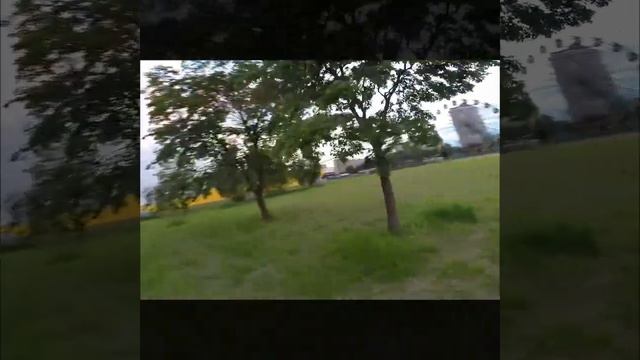 Новая локация пряталась рядом с домом!