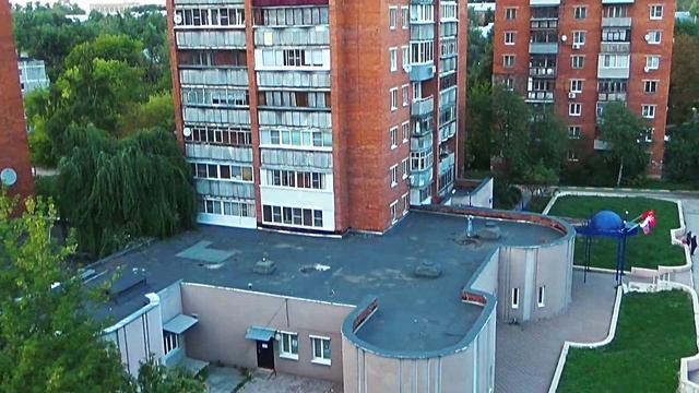 Ястреб-перепелятник ворвался в город