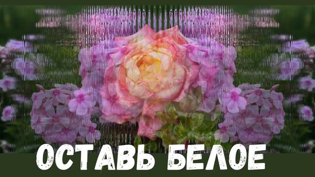 Оставь белое