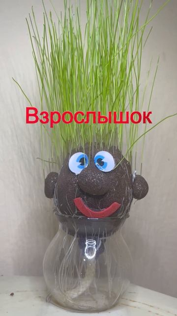 Возрастные уровни травяной головы