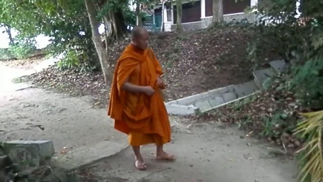 Buddhist monks ,visit Singapore FOREST