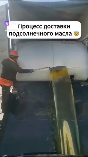 VID-20250123-WA0019