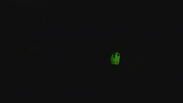 Night shoot with Laser Genetics ND3P subzero