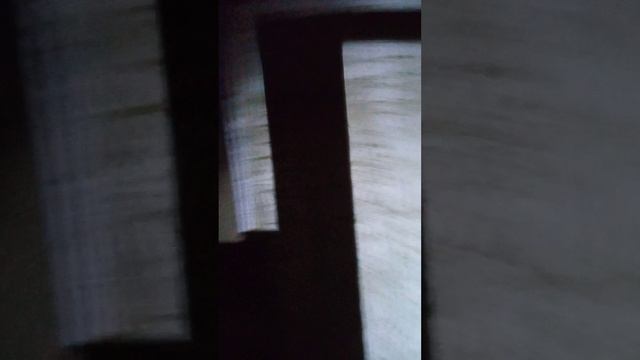 25 января пчёлы в зимовнике