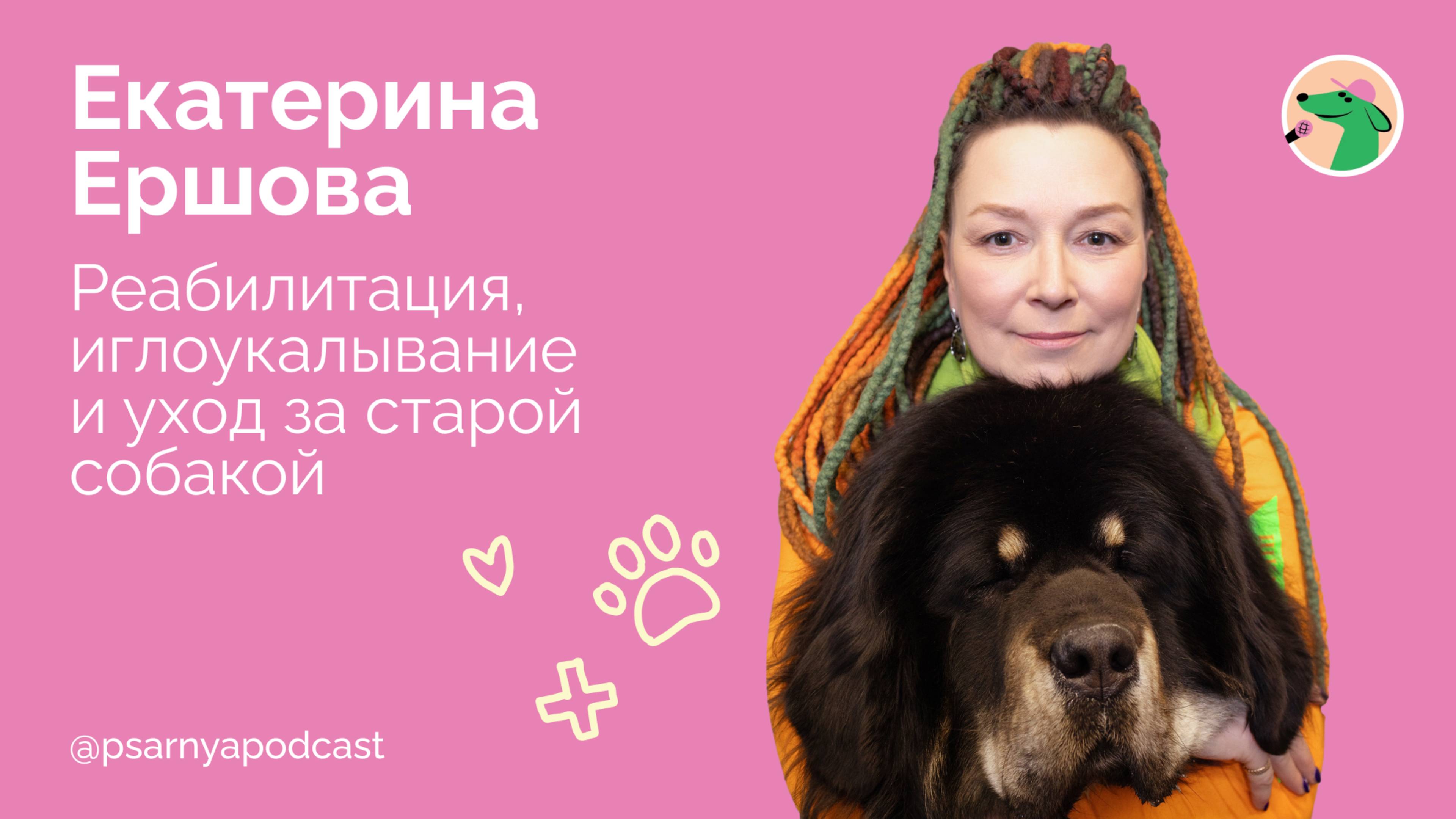Екатерина Ершова. Реабилитация, иглоукалывание и уход за старой собакой #podcast #dog